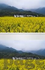 抖阴